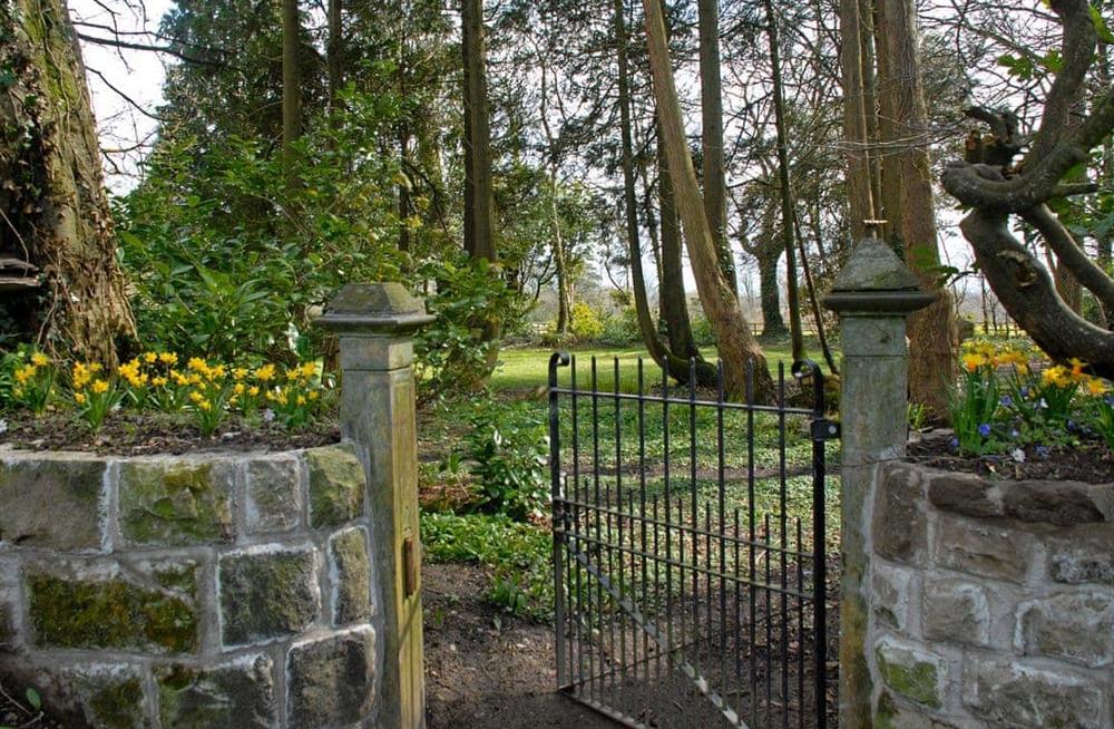 The garden at Glaneirw Coach House in Llangrannog, Dyfed