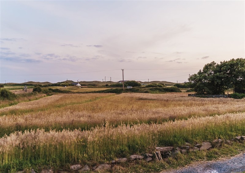 Enjoy the garden (photo 4) at Glanllyn Bach, Rhosneigr