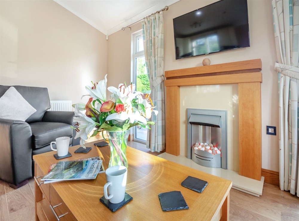 Living area at Glanrafon Lodge in Glanrafon Uchaf, Gwynedd