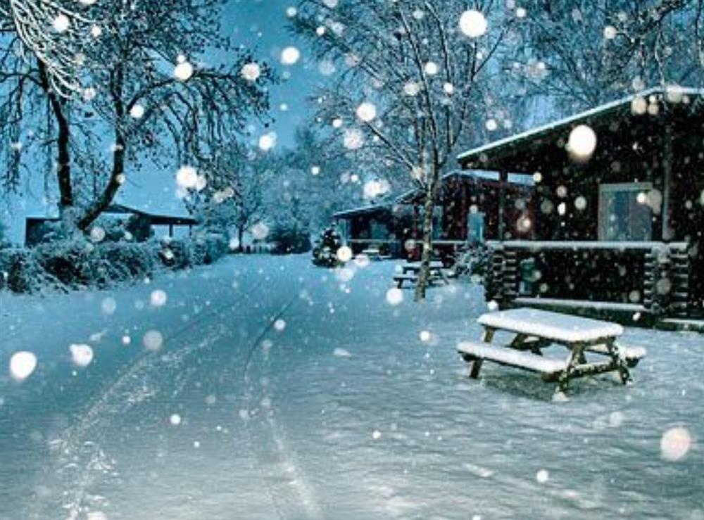 Photo 9 at Glanton in Longframlington, Northumberland