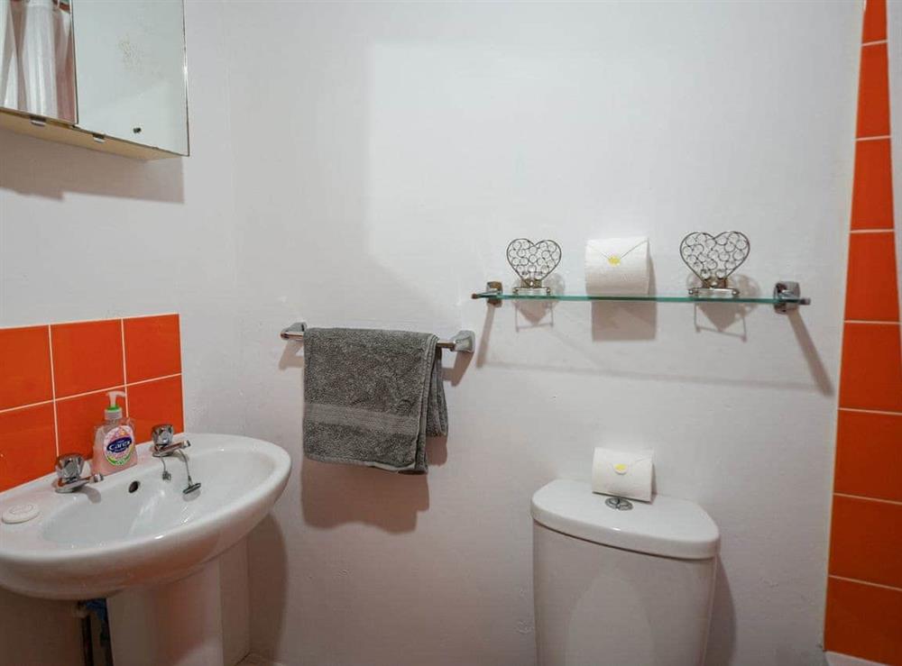 Bathroom (photo 2) at Glanyant Cottage in Corris Uchaf, near Corris, Gwynedd