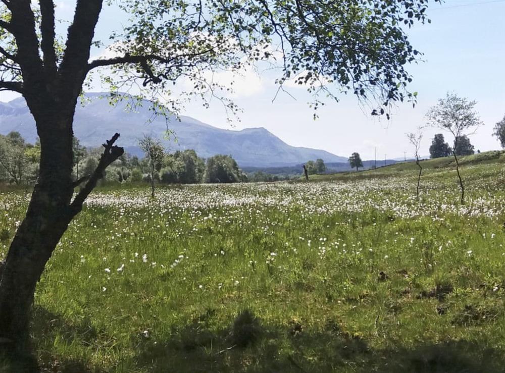 Beautiful surrounding area at Glas Doire Lodge in Glen Roy, near Fort William, Highlands, Inverness-Shire