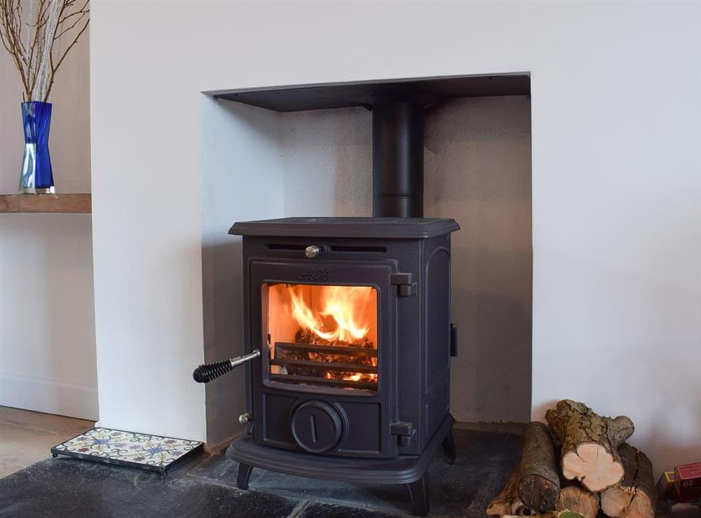 Warm your toes by the wood burner at Glasfor in Llansantffraed, near Aberaeron, Cardigan, Dyfed