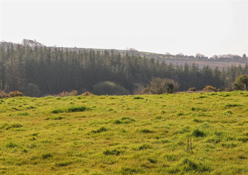 The setting of Gleann Ghrianmhar at Gleann Ghrianmhar, Ballyoughtera near Rosscarbery