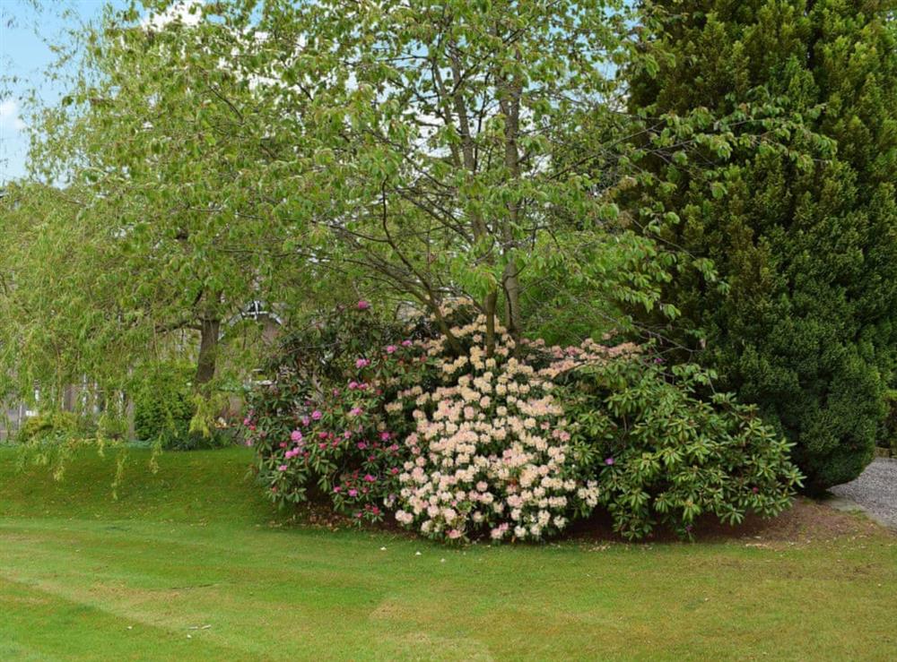 Beautifully planted and maintained garden and grounds shared with the owner (photo 2) at Glebe Cottage in Scone, Nr Perth, Perthshire., Great Britain
