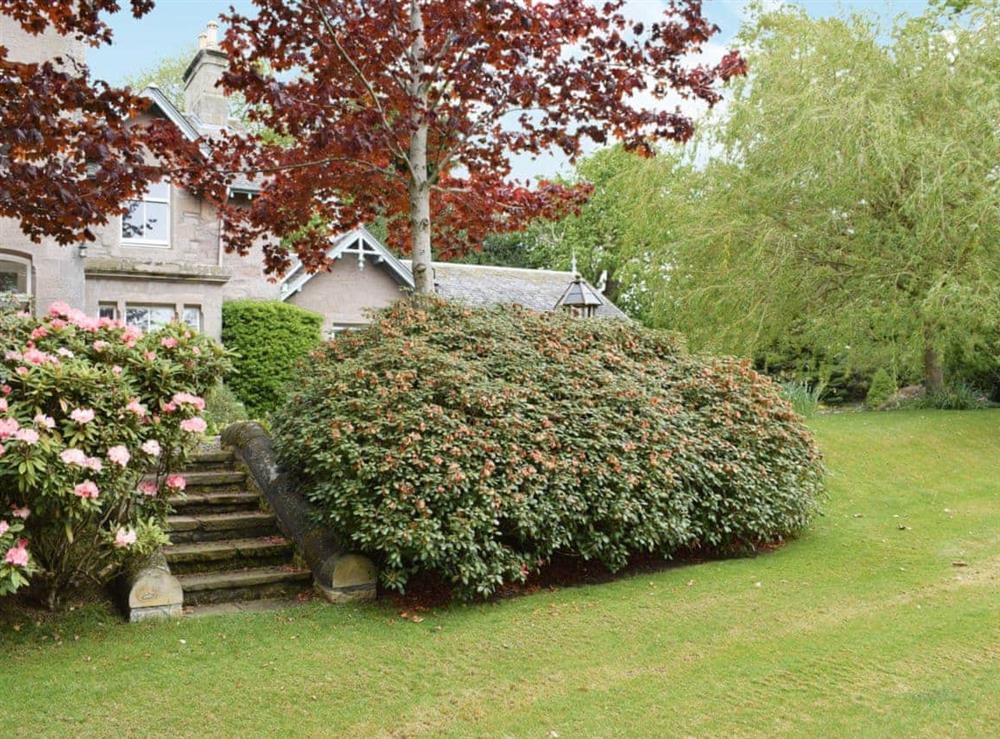 Beautifully planted and maintained garden and grounds shared with the owner at Glebe Cottage in Scone, Nr Perth, Perthshire., Great Britain
