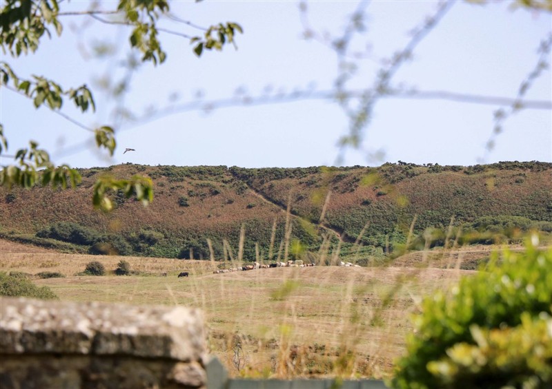 The area around Glebe Garth at Glebe Garth, Chale near Niton