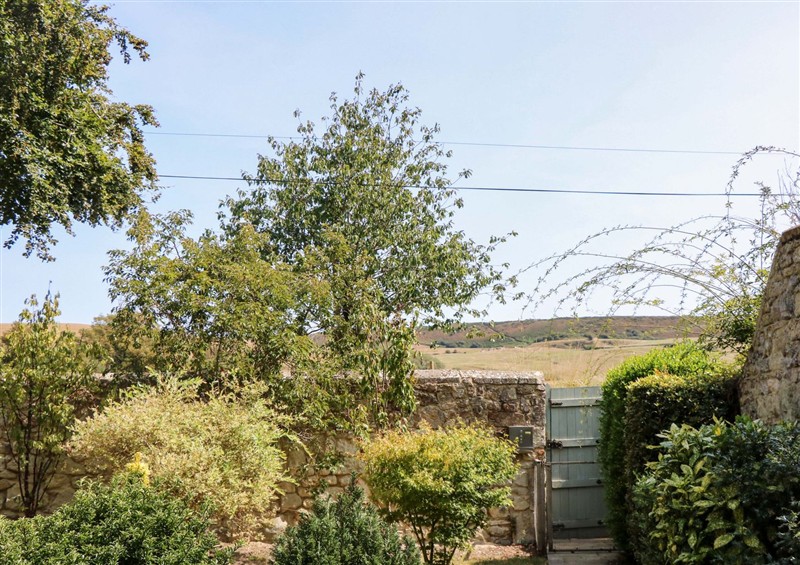 The garden (photo 2) at Glebe Garth, Chale near Niton
