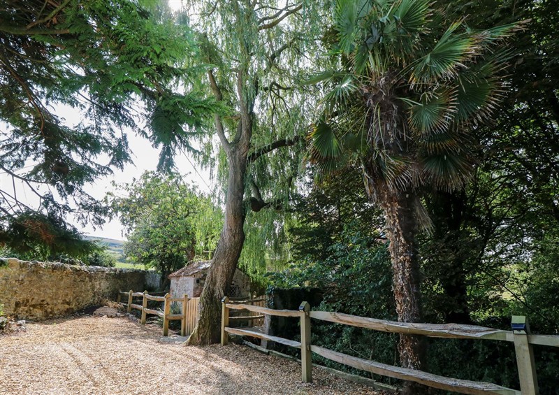 The garden in Glebe Garth (photo 2) at Glebe Garth, Chale near Niton