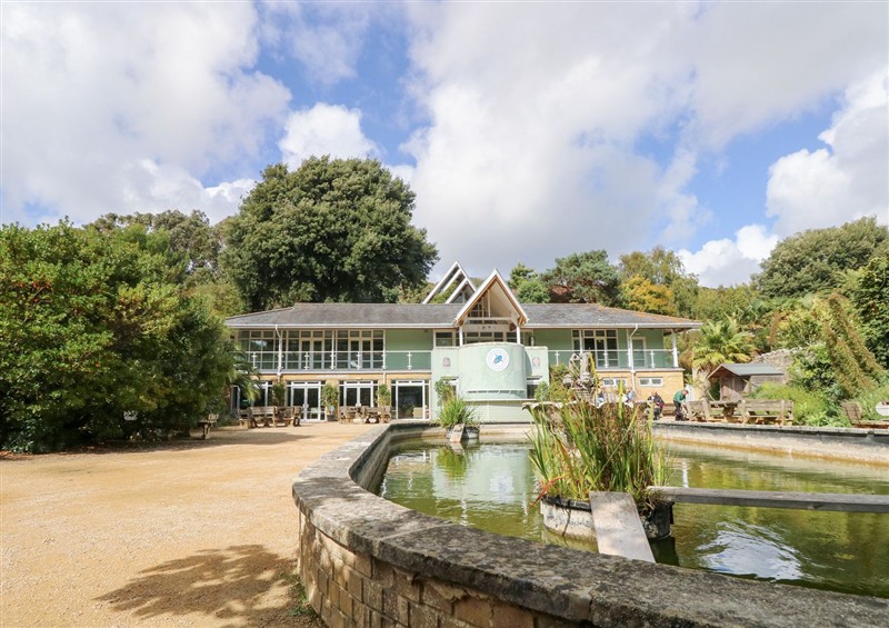 This is the garden (photo 4) at Glebe Garth, Chale near Niton