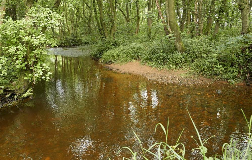 Explore the woodland streams and footpaths on Glen Bank’s doorstep (photo 2) at Glen Bank, Appleby-in-Westmoreland