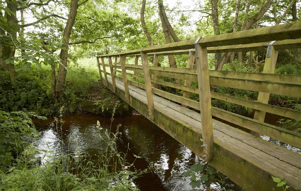 Explore the woodland streams and footpaths on Glen Bank’s doorstep