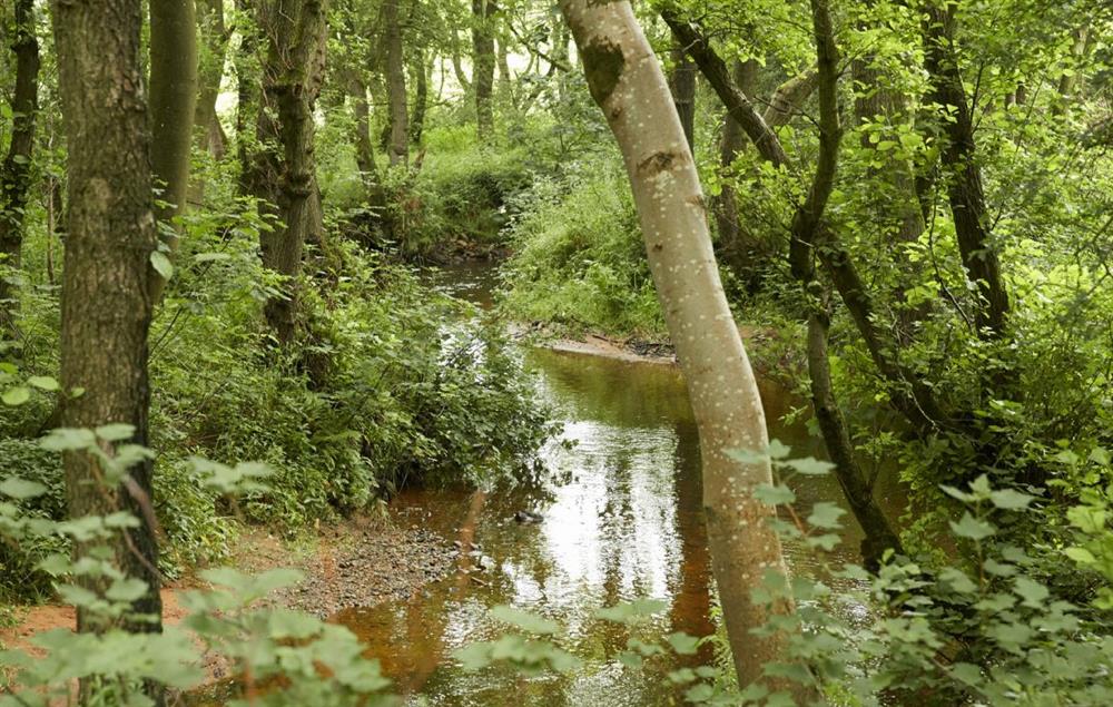 Explore the woodland streams and footpaths on Glen Bank’s doorstep at Glen Bank, Appleby-in-Westmoreland