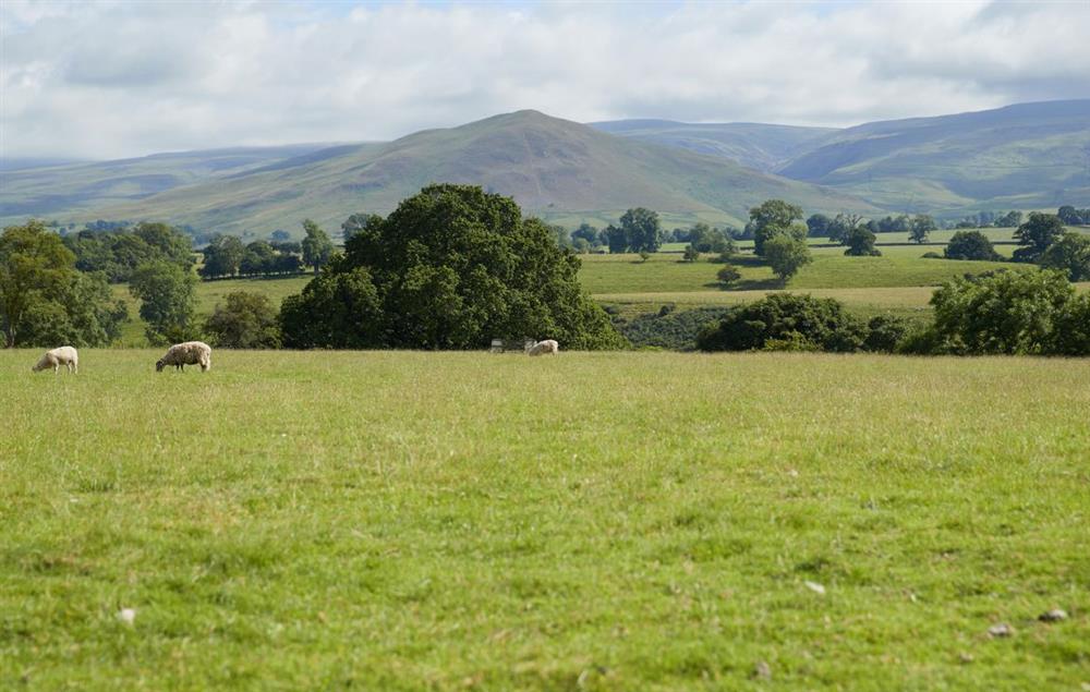 View of Dufton Pike from Glen Bank at Glen Bank, Appleby-in-Westmoreland