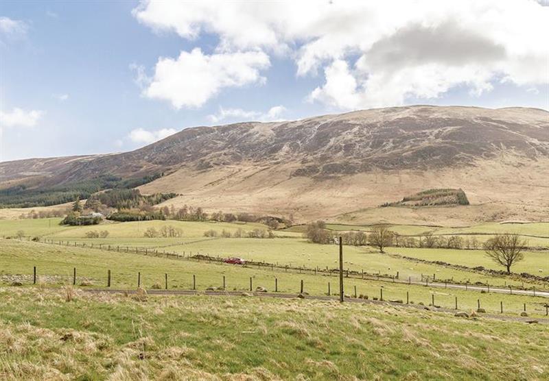 The park setting (photo number 2) at Glen Clova Lodges in Nr Kirriemuir, Southern Highlands