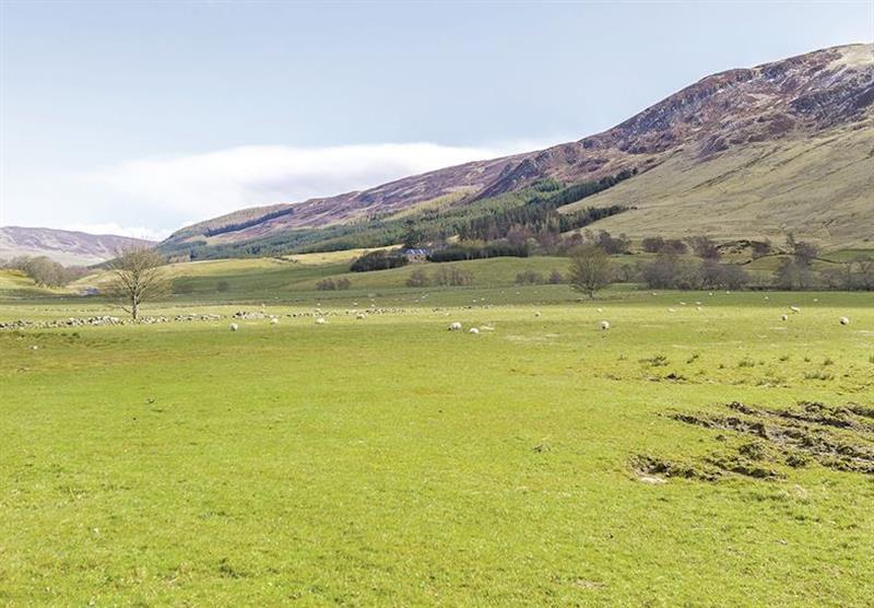 The park setting (photo number 3) at Glen Clova Lodges in Nr Kirriemuir, Southern Highlands