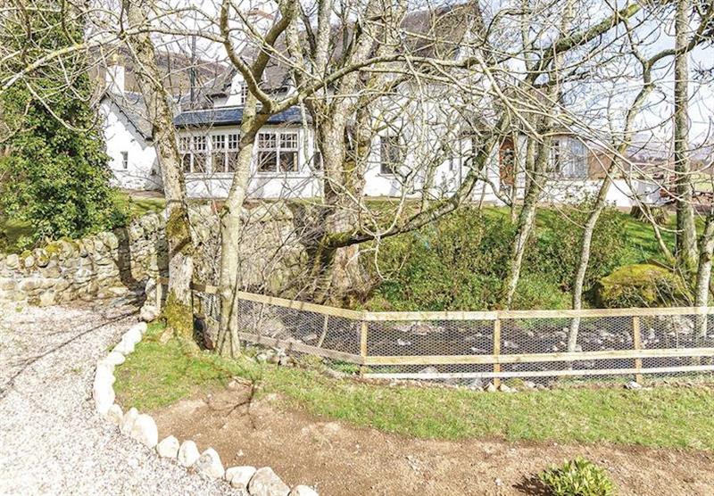 The park setting (photo number 6) at Glen Clova Lodges in Nr Kirriemuir, Southern Highlands