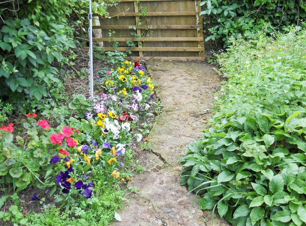 Garden at Glen Cottage in Marstow, near Ross-On-Wye, Herefordshire