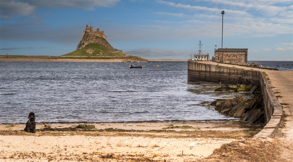 Looking towards Lindisfarne Castle from Holy Island beach and Lindisfarne Harbour, near Glen House, Northumberland at Glen House in Berwick-upon-tweed, Northumberland