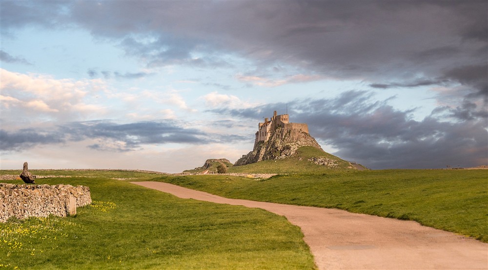The path to Lindisfarne Castle, near Glen House, Northumberland at Glen House in Berwick-upon-tweed, Northumberland