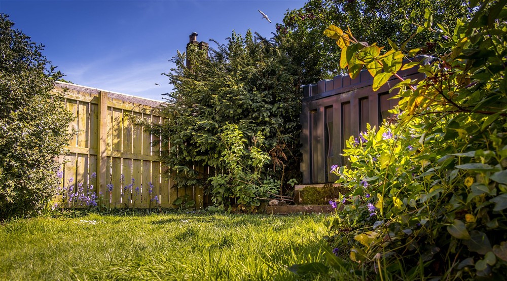 The small lawned garden at Glen House in Berwick-upon-tweed, Northumberland