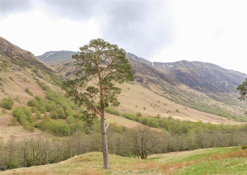 The setting of Glen Nevis Cottage