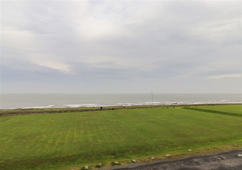 The garden in Glenavon (photo 2) at Glenavon, Seahouses