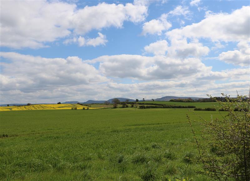 Rural landscape at Glendale Pod, Hutton Rudby