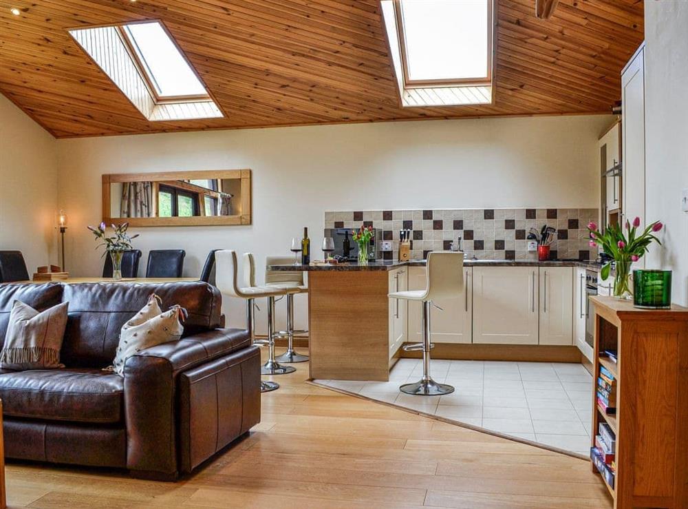 Open plan living space (photo 3) at Glengoulandie Lodge in Glengoulandie, near Aberfeldy, Perthshire