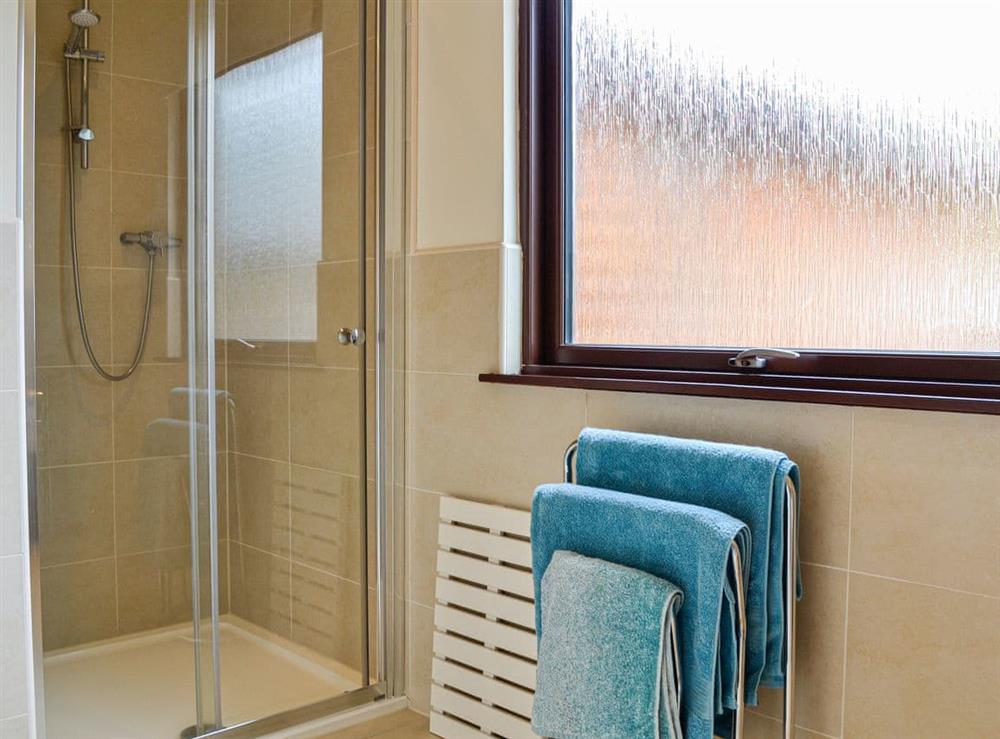 Shower room (photo 4) at Glengoulandie Lodge in Glengoulandie, near Aberfeldy, Perthshire