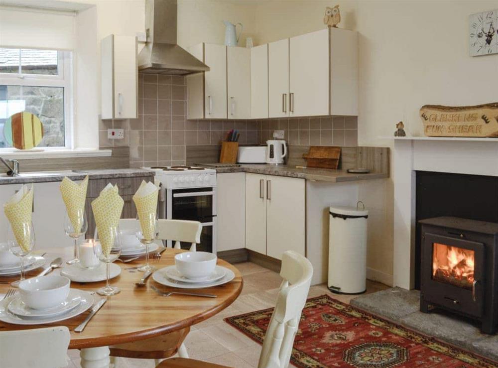 Delightful kitchen/ dining room with wood burner at Glenhowl Lodge in Dalry, near Castle Douglas, Kirkcudbrightshire