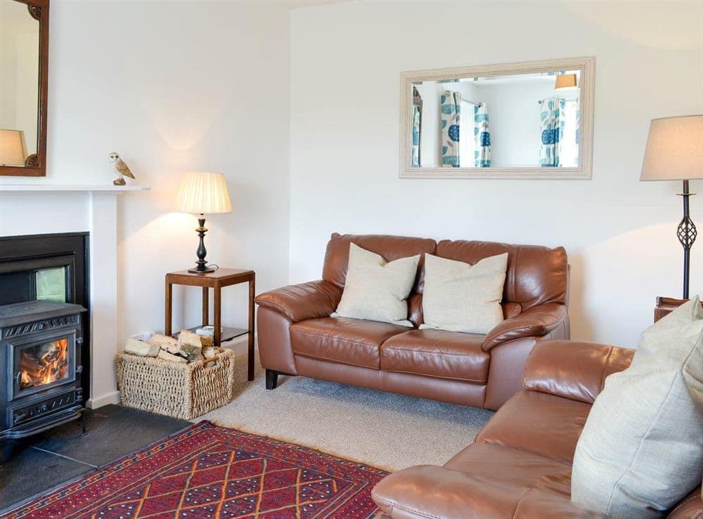 Living room (photo 2) at Glenhowl Lodge in Dalry, near Castle Douglas, Kirkcudbrightshire