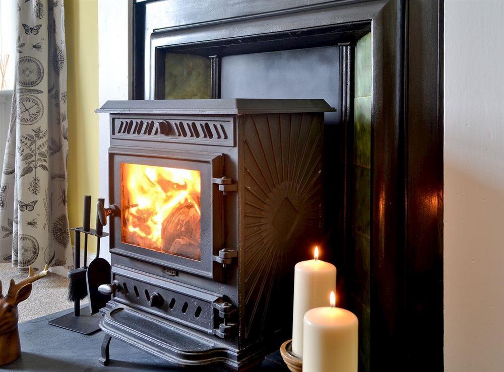 Wood burning stove at Glenhowl Lodge in Dalry, near Castle Douglas, Kirkcudbrightshire