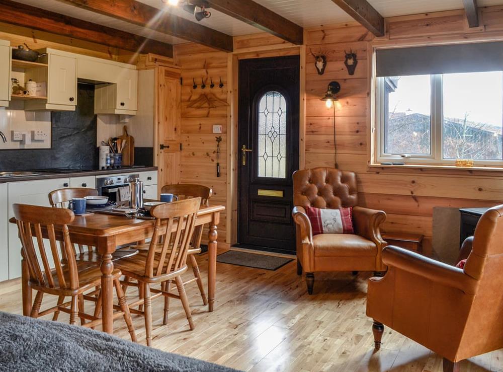 Open plan living space at Glenkens Lodge in Darly, near Castle Douglas, Kirkcudbrightshire