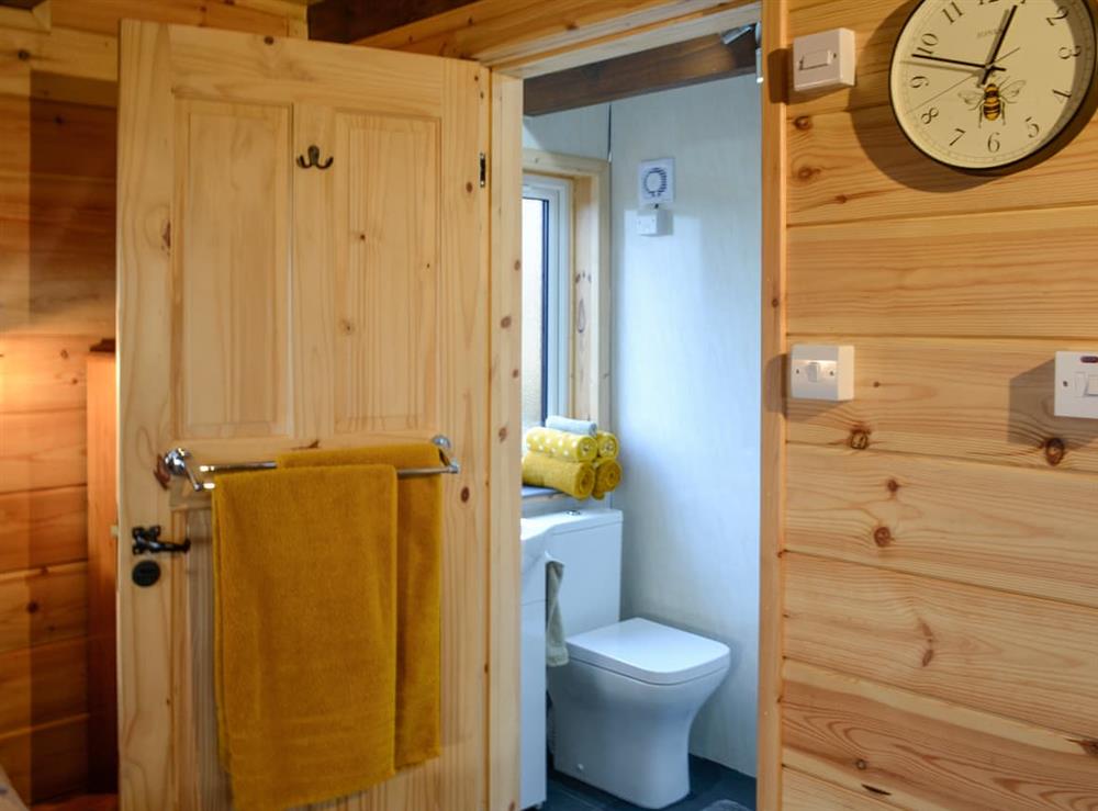Shower room at Glenkens Lodge in Darly, near Castle Douglas, Kirkcudbrightshire