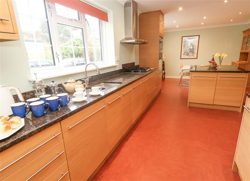 This is the kitchen at Glyde House, Dorchester