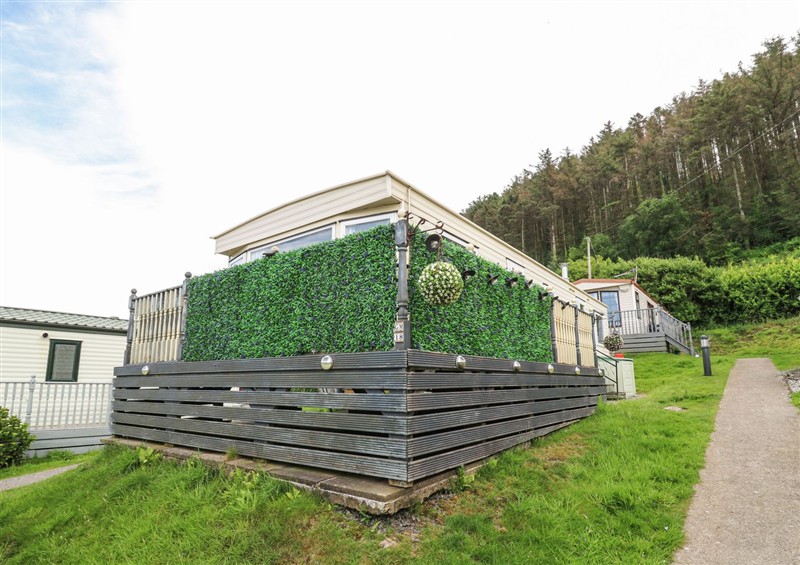 The garden at GM18, Clarach Bay near Aberystwyth