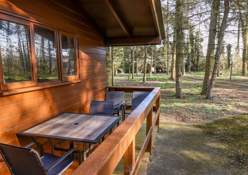 This is the setting of Goldcrest