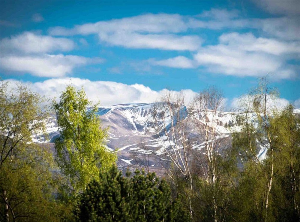 View at Golden Eagle in Aviemore, Inverness-Shire