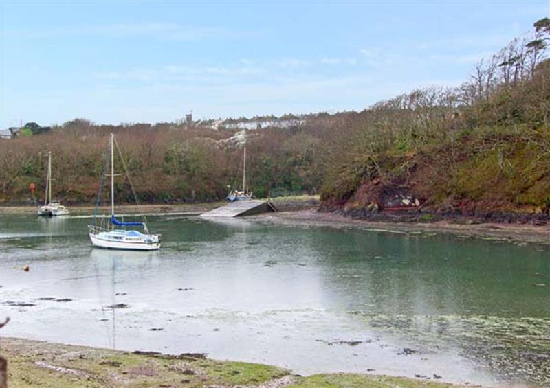 The area around Goldfinch at Goldfinch, Milford Haven