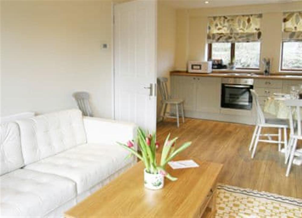 Open plan living space (photo 3) at Goldridge in Nr Alton, Hampshire