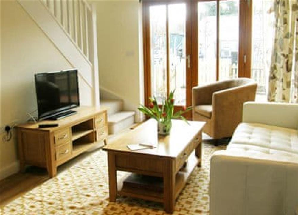 Open plan living space at Goldridge in Nr Alton, Hampshire