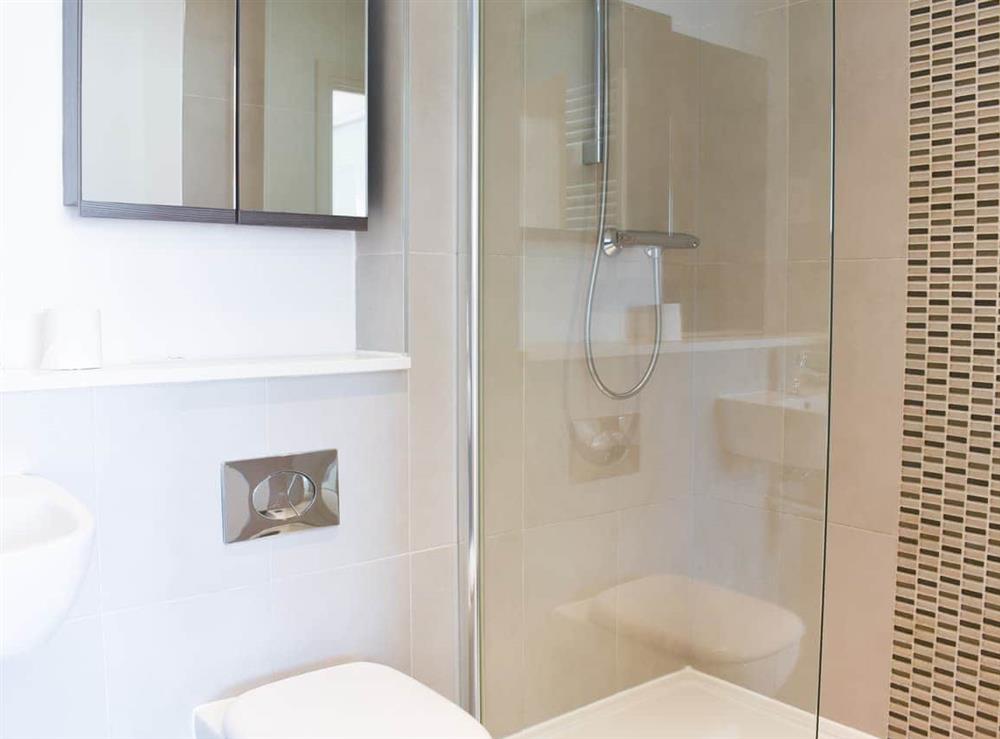 Shower room at Goodwood and Sussex Coast House in Bognor Regis, West Sussex