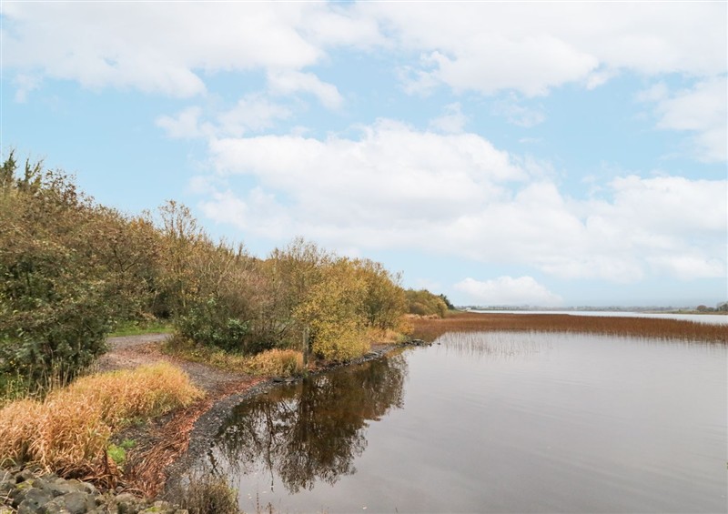 In the area at Gooseberry Cottage, Lisnaskea