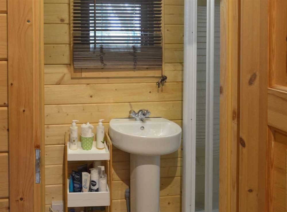 Shower room at Gooseberry Lodge in Tollard Royal, near Salisbury, Wiltshire