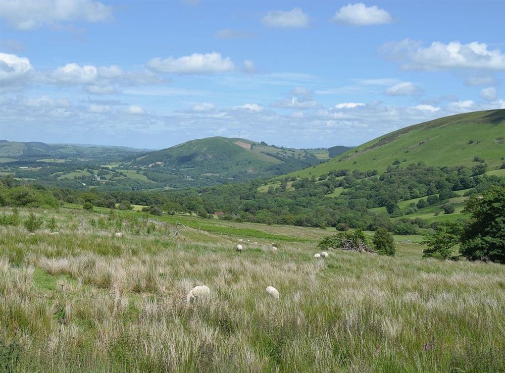 View (photo 2) at Gorsddu in Llandrindod Wells, Powys