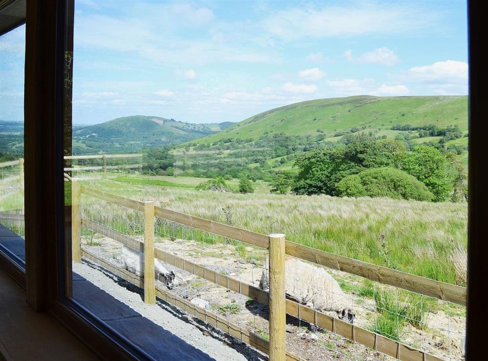 View at Gorsddu in Llandrindod Wells, Powys