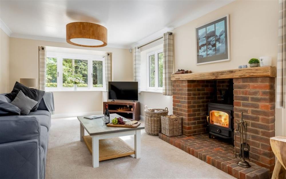 Relax in the living area at Gorselands Cottage in Burley
