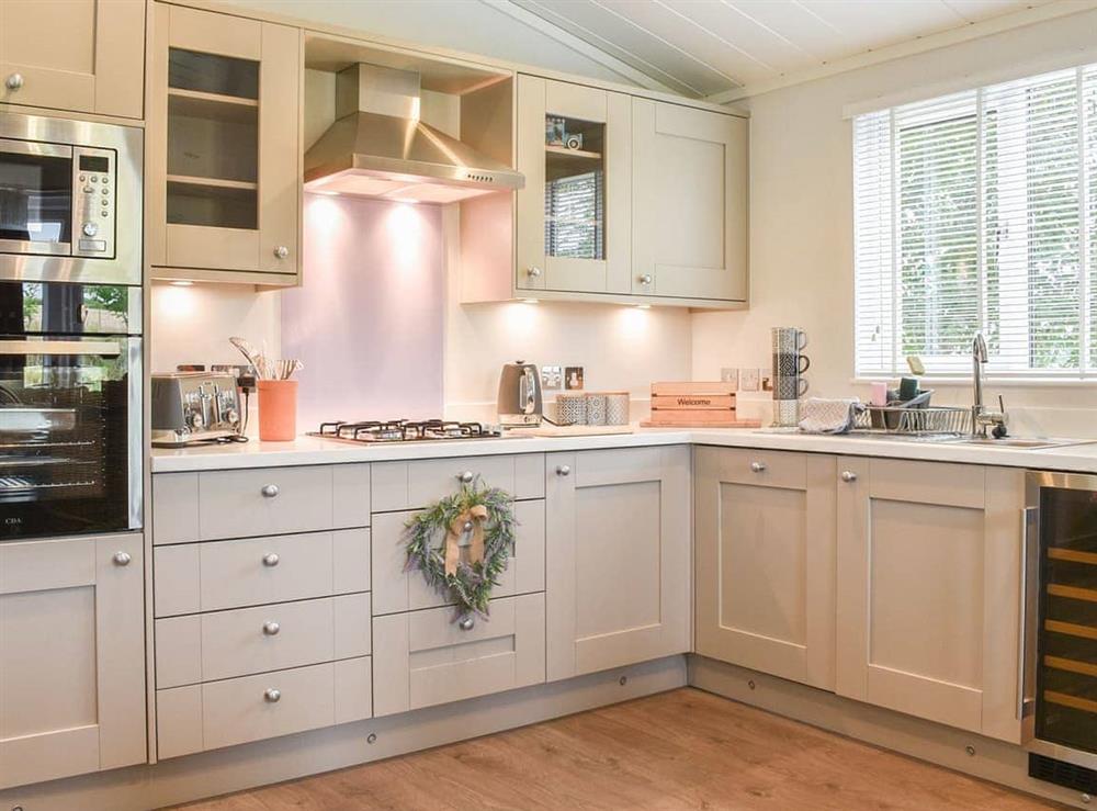 Kitchen area at Gorstage Meadows in Gorstage, Cheshire