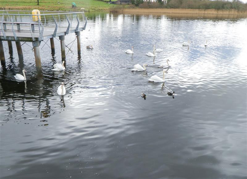 The area around Gort Farm Cottage